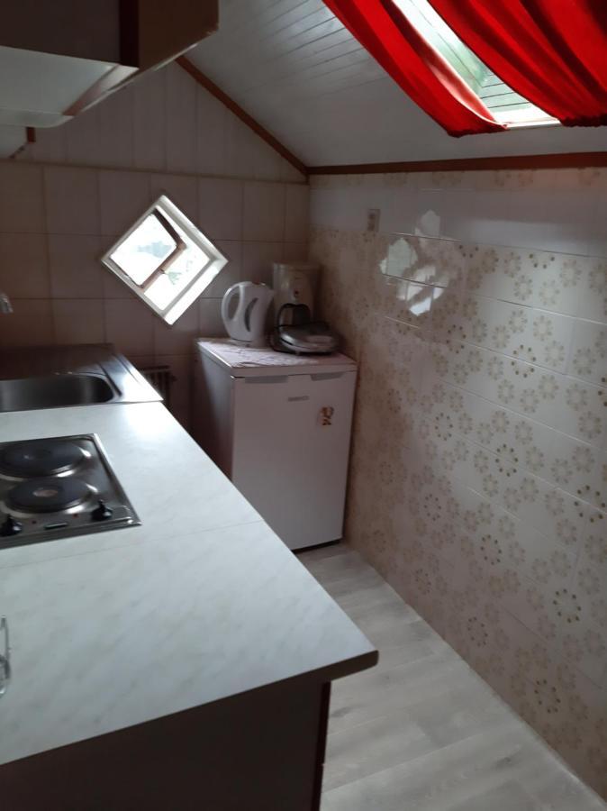 Apartments Gale Delnice Zewnętrze zdjęcie